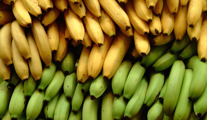 Pile of yellow and green bananas