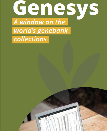 Genesys Brochure English