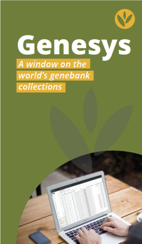 Genesys Brochure English