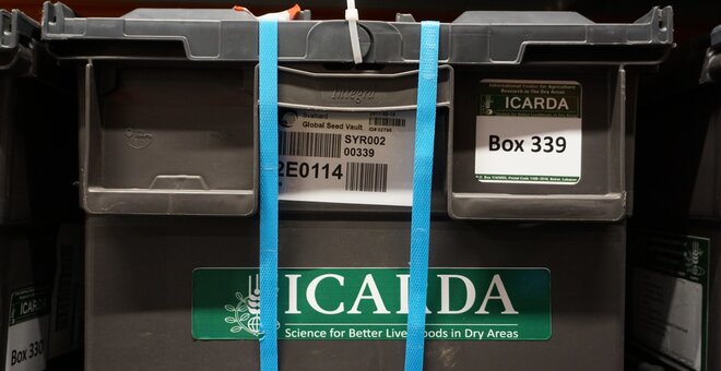 A box with seeds from ICARDA's Syrian genebank in the Svalbard Global Seed Vault. Photo: Luis Salazar/Crop Trust.
