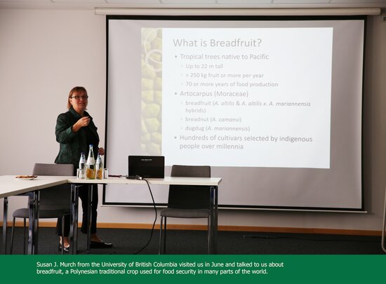 Susan J. Murch from the University of British Columbia visited us in June and talked to us about breadfruit, a Polynesian traditional crop used for food security in many parts of the world.