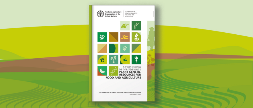 New FAO Report Checks Up on the Health of Crop Diversity Conservation