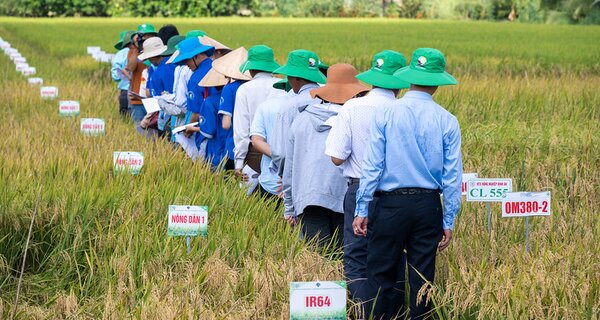 Vietnam’s Seed Clubs Fed a Nation. Now They Face New Barriers