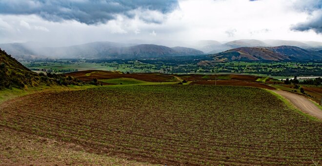 The Crop Trust joins forces with the Global Landscapes Forum for a food and nutrition secure future  