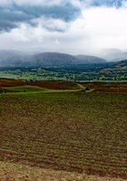 The Crop Trust joins forces with the Global Landscapes Forum for a food and nutrition secure future  