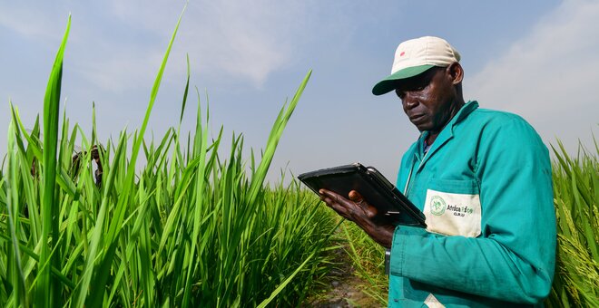 Long-Term Funding Supports AfricaRice Genebank and the Future of Rice Diversity