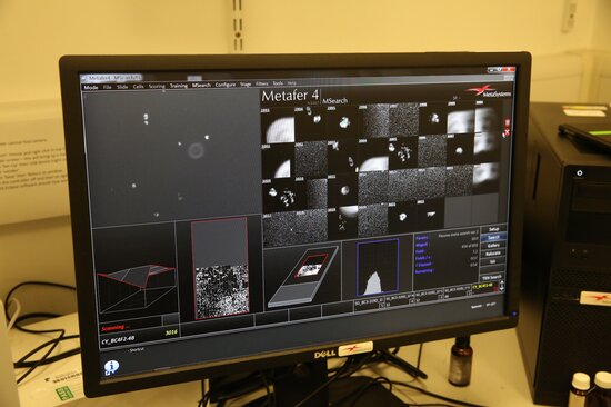 Identifying and tracking chromosomal segments.