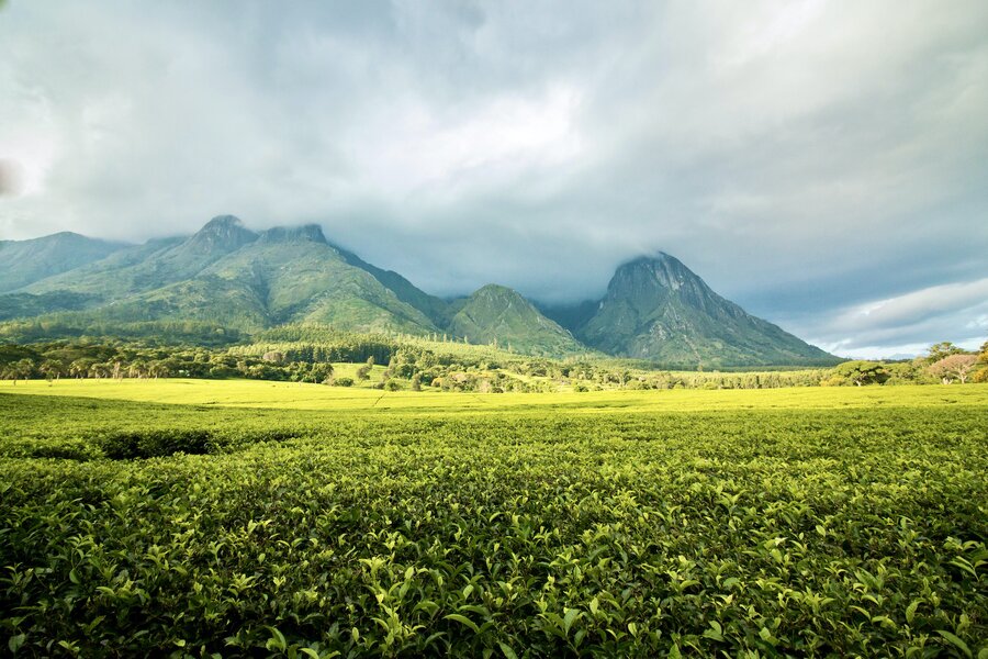 Malawi