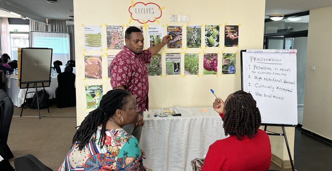 From 100 to Four: Favorites in Focus for BOLDER Opportunity Crops