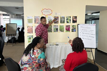 From 100 to Four: Favorites in Focus for BOLDER Opportunity Crops