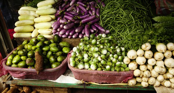 diverse crops in Sri Lanka