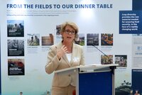 Marie Haga at the European Parliament Crop Trust exhibit