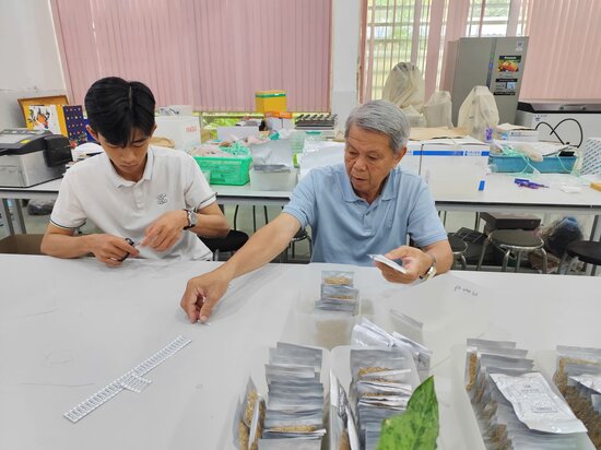 Staff at Can Tho University’s genebank prepare rice samples for their first deposit to the Svalbard Global Seed Vault. The Vietnamese institution joined the Vault through the Crop Trust’s BOLD Project. Photo: Can Tho University Genebank
