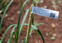 Close-up identification tag in grass