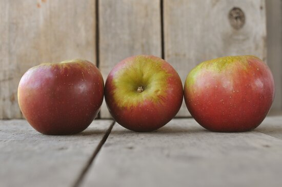 Photo: Vintage Virginia Apples