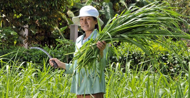 Daily Star Lebanon: How the Mideast Can Help Protect Crop Diversity