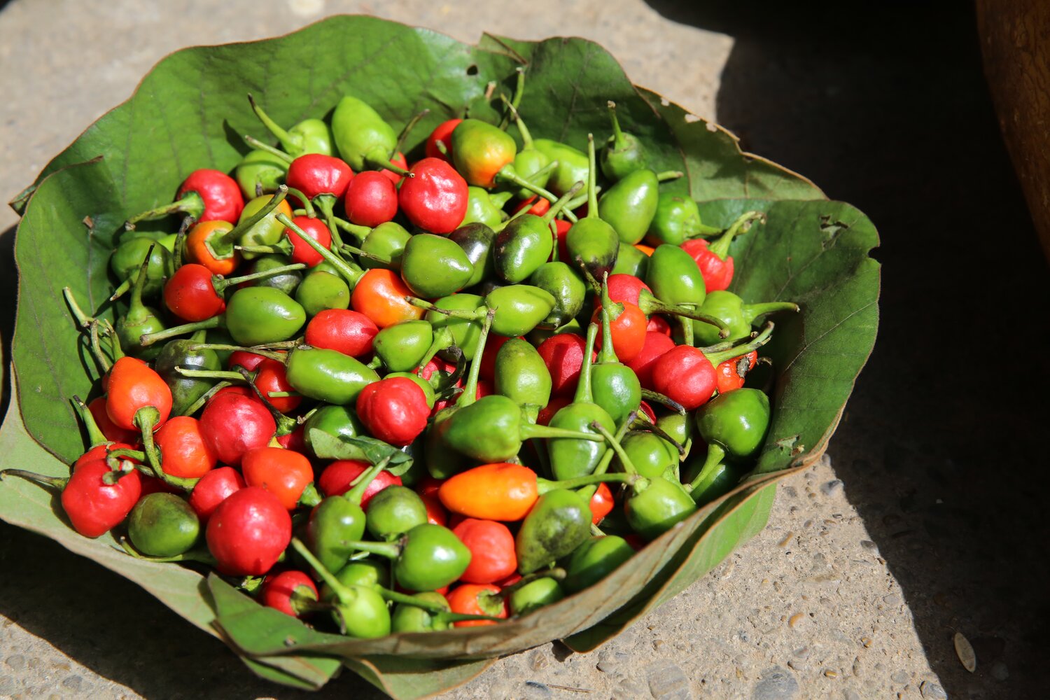 Assortment of chilies.