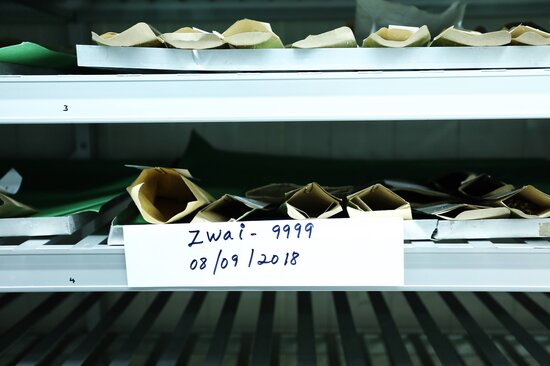 Seed packets at the ILRI genebank in Ethiopia. Photo: ILRI