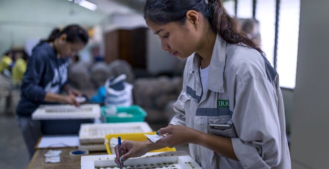 Woman manipulating lab samples