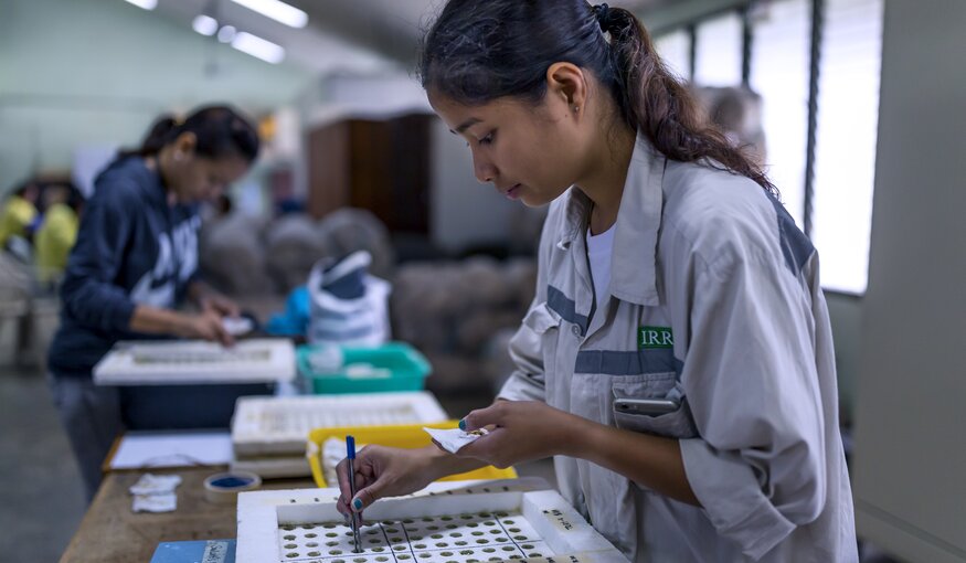 Woman manipulating lab samples