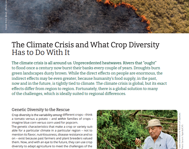 The Climate Crisis and What Crop Diversity Has to Do With It