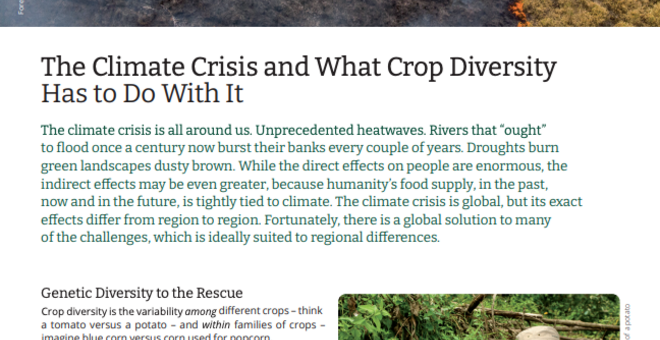 The Climate Crisis and What Crop Diversity Has to Do With It