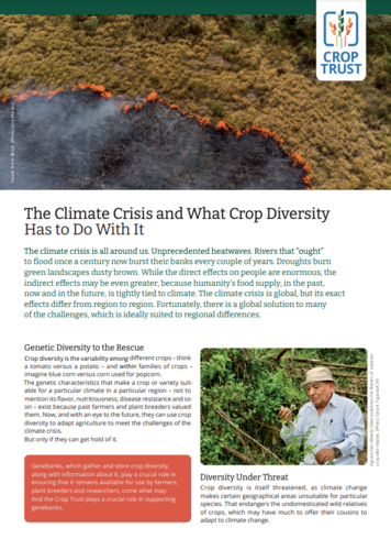 The Climate Crisis and What Crop Diversity Has to Do With It