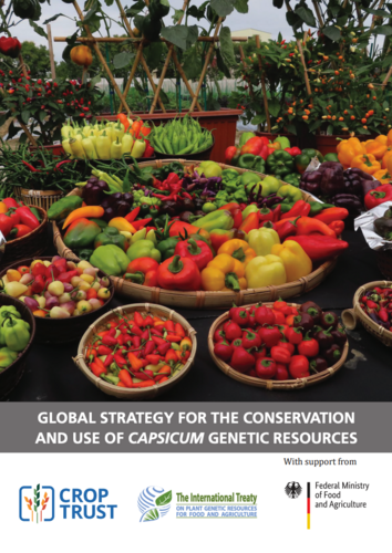 A Global Strategy for the Conservation and Use of Capsicum Genetic Resources