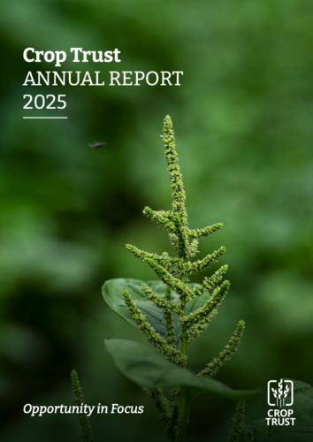2025 Annual Report & Financial Statements