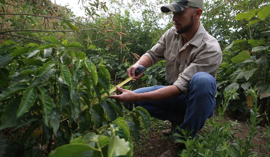 Seventy Years On, A Global Garden Keeps the Coffee Hot, Part 2
