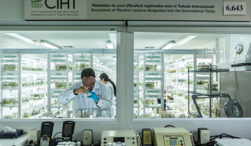 Webinar: Fast Tracking Climate Solutions from Genebank Collections