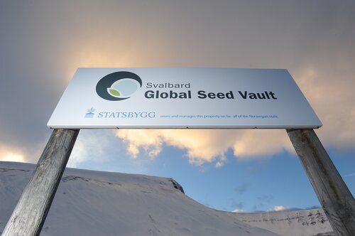 Svalbard Global Seed Vault Celebrates 10 Years