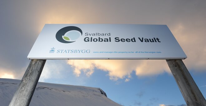 Svalbard Global Seed Vault Celebrates 10 Years