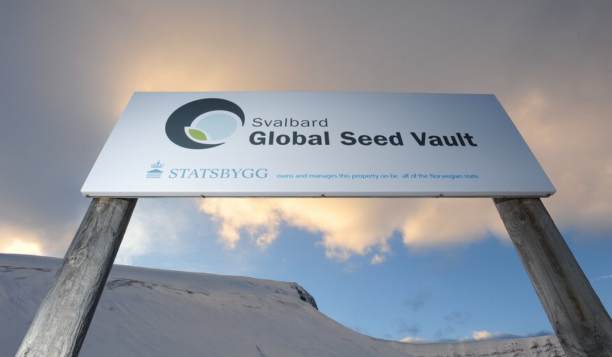 Svalbard Global Seed Vault Celebrates 10 Years