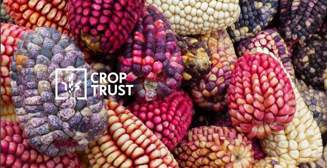 2018 Annual Report & Financial Statement