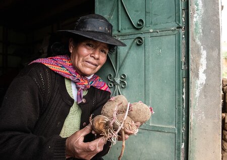 New Potato Variety Offers a Lifeline to Farmers Battling Blight