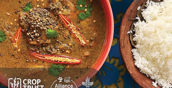 Vegan Lentil and Hemp Seed Meatballs in Hemp Seed Curry