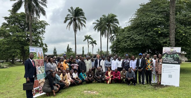 Nigeria Chooses Its Opportunity Crops