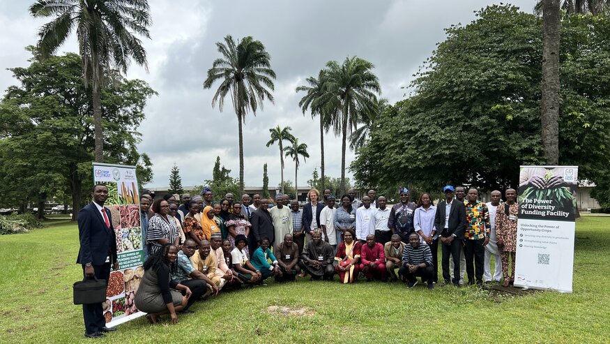 Nigeria Chooses Its Opportunity Crops