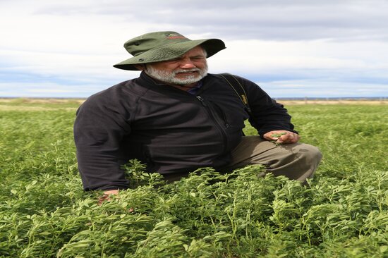 Carlos Ovalle, INIA’s National Coordinator of Environment & Sustainability, leads the Crop Wild Relatives alfalfa pre-breeding project in Chile. Carlos is evaluating CWR-derived lines together with the Crop Trust partners in Australia, Kazakhstan and China. His work focuses mostly on the central part of Chile, where alfalfa plays a bigger role in livestock management. This five-day expedition allowed him to see first-hand the range of work being carried out by his colleague Jorge Ivelic in Magallanes. Photo: LS Salazar/Crop Trust