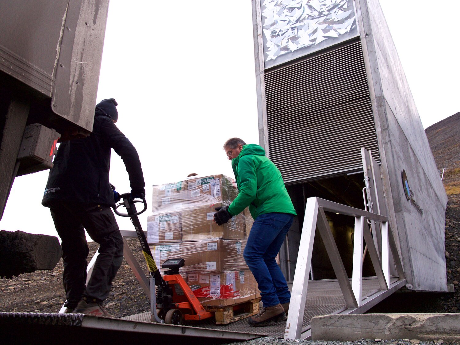 Seed boxes from Global Seed Vault start journey to ICARDA , helped by Arni Bragason from NordGen and Athanasios Tsivelikas, ICARDA