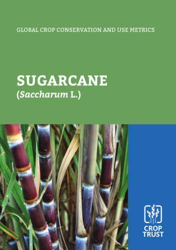 Global Crop Conservation and Use Metrics: Sugarcane