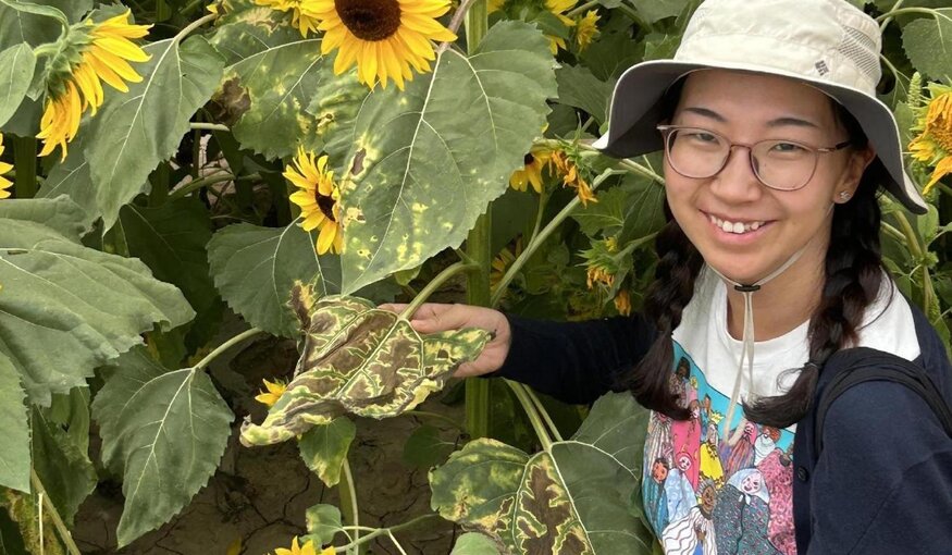 From Inner Mongolian Fields to Wild Sunflowers to the Crop Trust