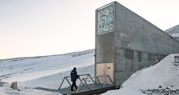 The 'Doomsday' Seed Vault Protecting the World's Crops Amid Catastrophes Like Coronavirus