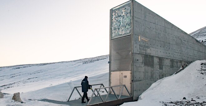 The 'Doomsday' Seed Vault Protecting the World's Crops Amid Catastrophes Like Coronavirus