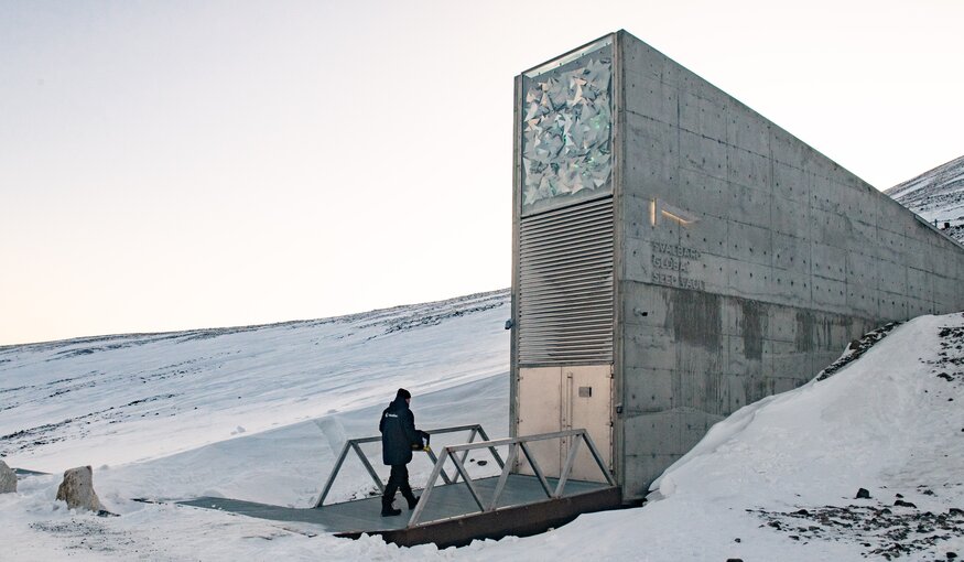 The 'Doomsday' Seed Vault Protecting the World's Crops Amid Catastrophes Like Coronavirus