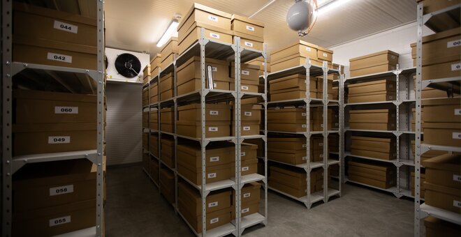 Photo: ©FAO/Anastasiia Borodaienko