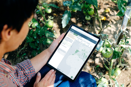 man looking at an ipad screen that shows a map of seed accessions