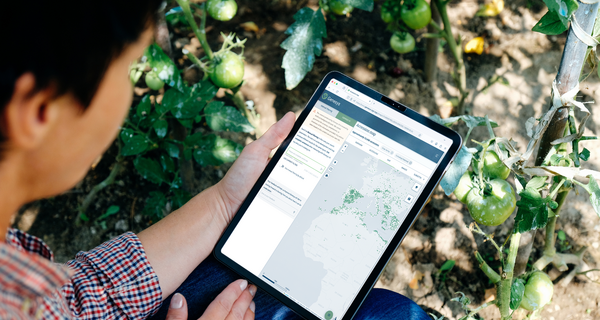 man looking at an ipad screen that shows a map of seed accessions