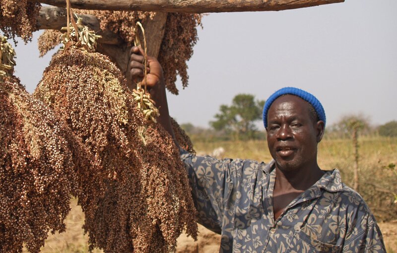 Seed Collecting, Conservation and Collaboration in West Africa